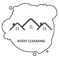 Roof Cleaning