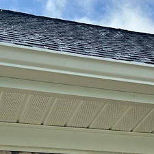 Gutter Cleaning and Oxidation Removal Training in Davie County 2